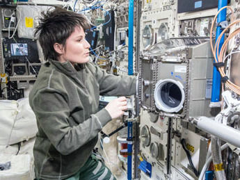 Zellen passen sich ultraschnell an die Schwerelosigkeit an