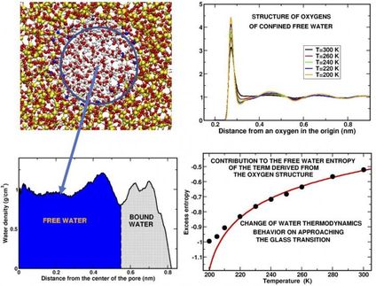 Exploring the mysteries of supercooled water