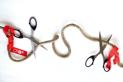 Ein «Delete-Knopf» für die DNA