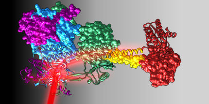 Biologische Systeme mit Lichtschalter