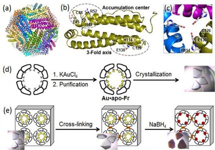 Nanocages for gold particles: What is happening inside?