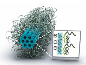Blockcopolymer-Mizellisierung als Schutzstrategie für DNA-Origami