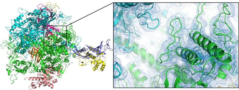 Doppel-Düse spart Protein-Kristalle - Neuartiges Konzept erweitert das Spektrum der Protein-Kristallographie