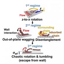 Identification of molecular origins underlying the interfacial slip