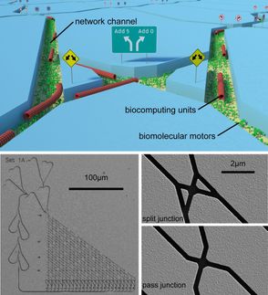 Molecular motor-powered biocomputers