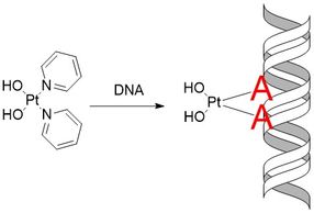 Copyright: Juan J. Nogueira, Universität Wien