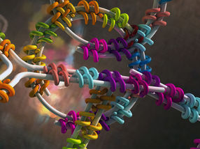 Designer-Proteine falten DNA
