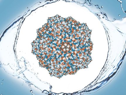 Hydrophobic proteins on virus surfaces can help purify vaccines