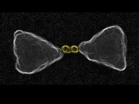 Researchers uncover secret of nanomaterial that makes harvesting sunlight easier