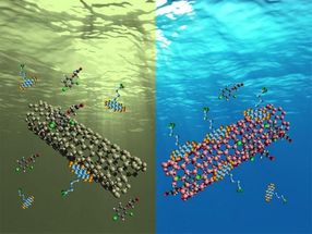 Reusable carbon nanotubes could be the water filter of the future