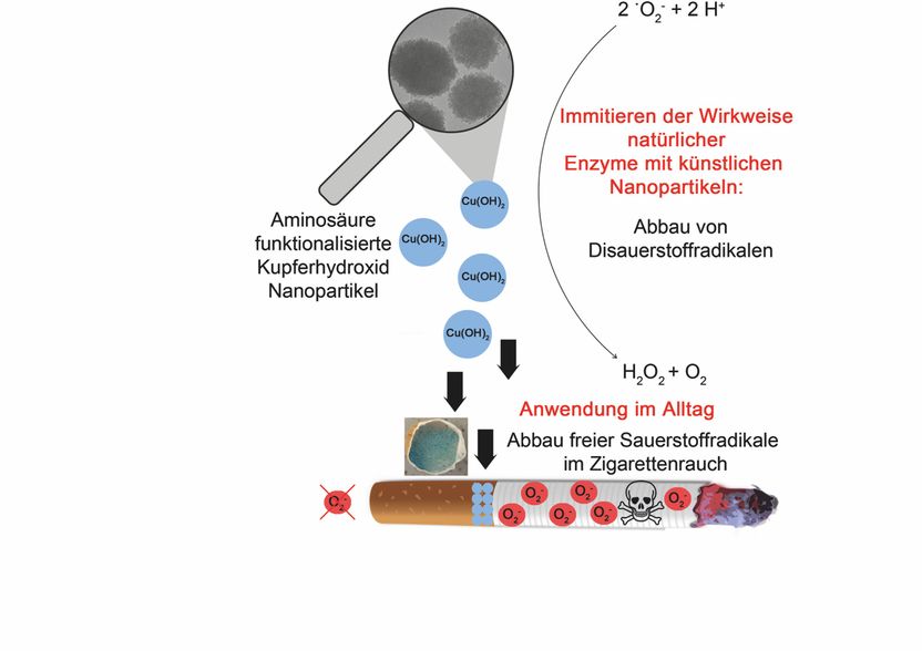 Abb./©: Karsten Korschelt, AG Tremel, JGU