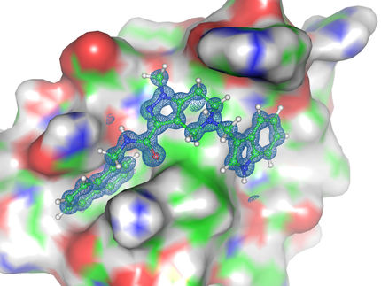 Neuer Wirkstoff gegen die Schlafkrankheit