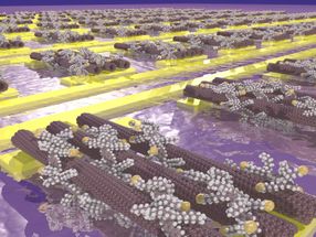 Carbon nanotubes self-assemble into tiny transistors