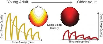 Deep sleep may act as fountain of youth in old age