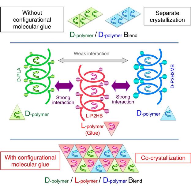 Tsuji, H. et al. Configurational Molecular Glue: One Optically Active Polymer Attracts Two Oppositely Configured Optically Active Polymers. Sci. Rep. 7, 45170; doi: 10.1038/srep45170 (2017).