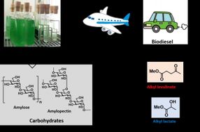 Algal residue - an alternative carbon resource for pharmaceuticals and polyesters