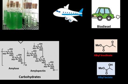 Algal residue - an alternative carbon resource for pharmaceuticals and polyesters