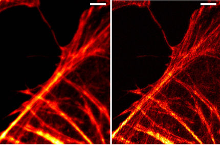 Hochaufgelöste Bilder in drei Dimensionen
