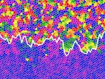 Two-dimensional melting of hard spheres experimentally unravelled after 60 years