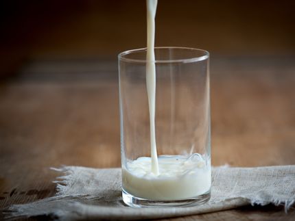 Neues Antibiotikaresistenz-Gen in Milch entdeckt