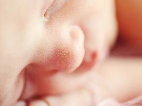 Babys werden mit gedrosseltem Immunsystem geboren