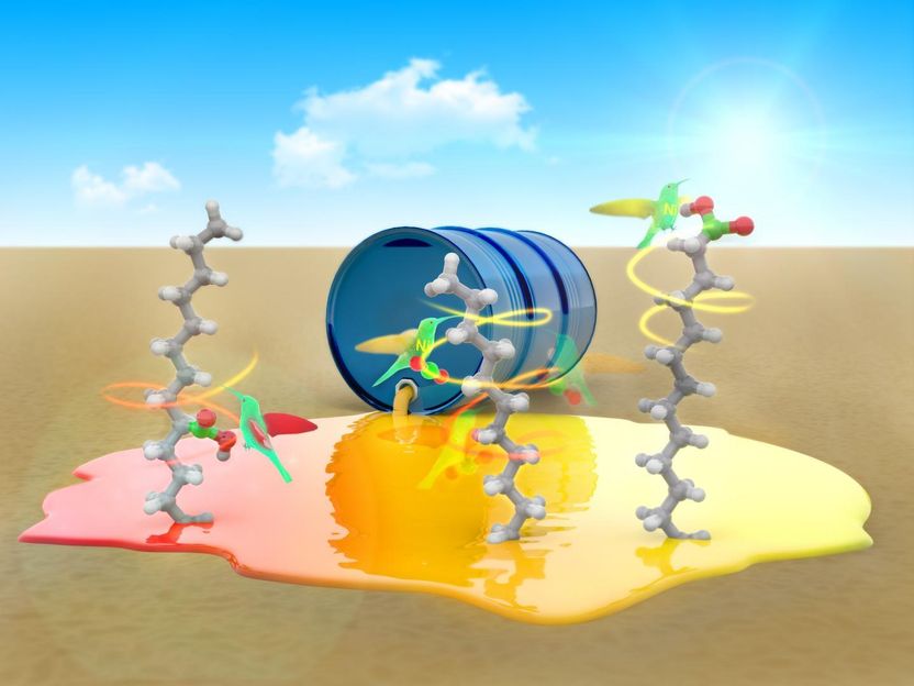 © Ramón Andrade. 3DCiencia.com