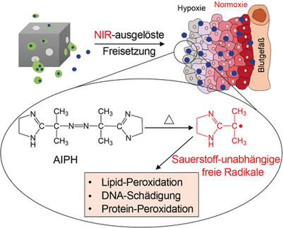 Tödliches Nanopaket für Krebszellen