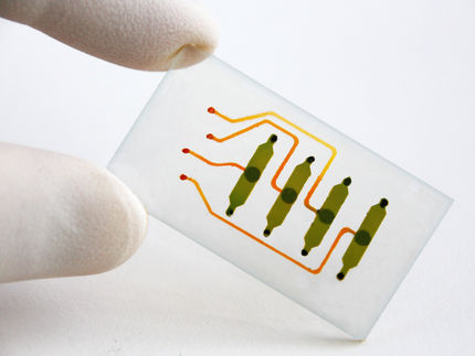 Bio-Chips für die Wundheilung