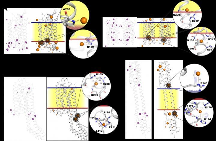 The study under discussion published in Science Advances