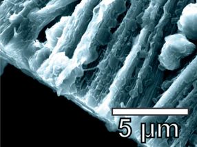 Graphene-nanotube hybrid boosts lithium metal batteries
