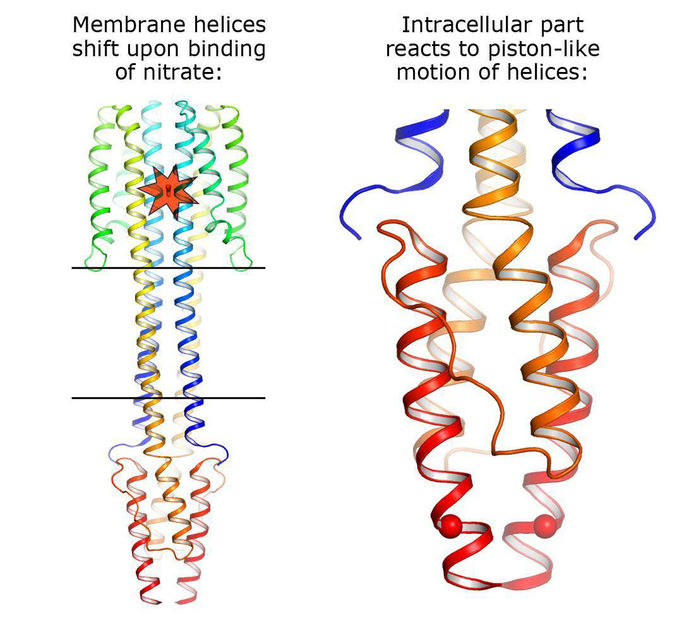 Copyright: Ivan Gushchin, Moscow Institute of Physics and Technology