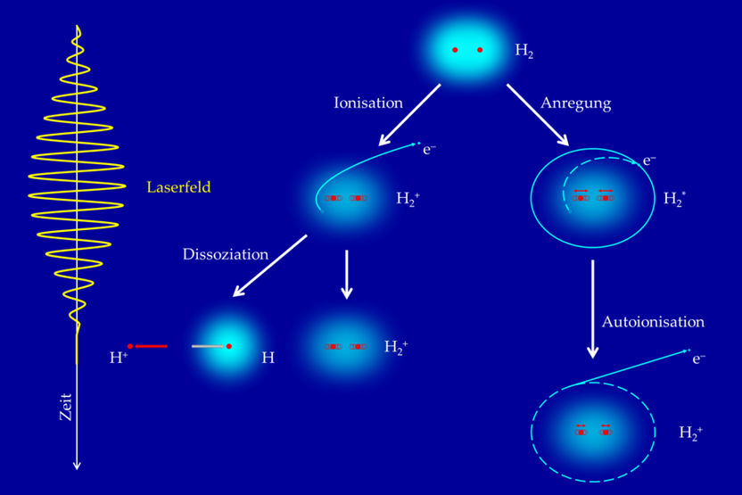 MPI für Kernphysik