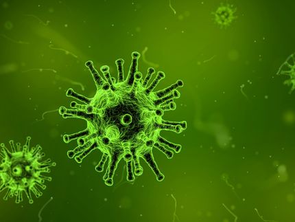 Wie Herpesviren den Wettlauf mit dem Immunsystem gewinnen