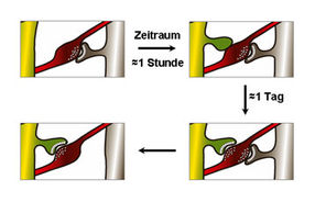 lernimpuls