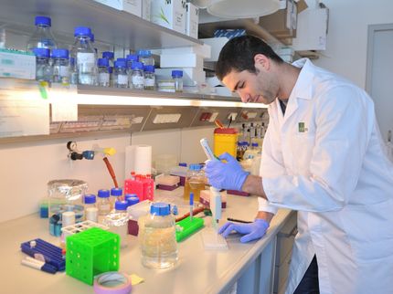 Vorhersagbare genetische Interaktionen