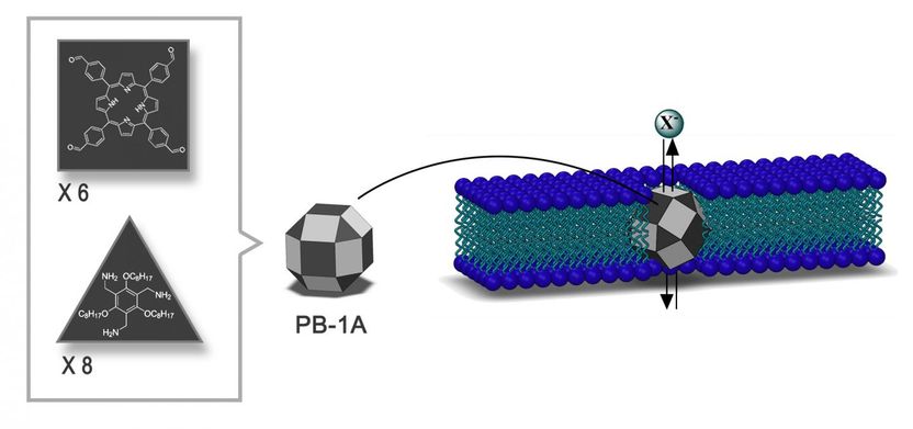 IBS