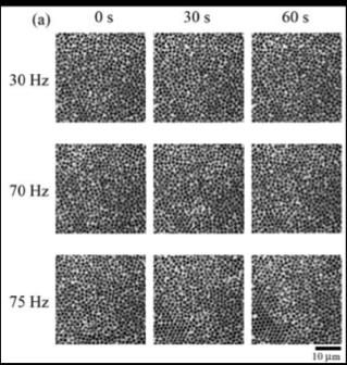 N. Nakamura, K. Inayama, T. Okuno, H. Ogi, and M. Hirao, Scientific Reports 7, 1369 (2017), doi:10.1038/s41598-017-01484-y