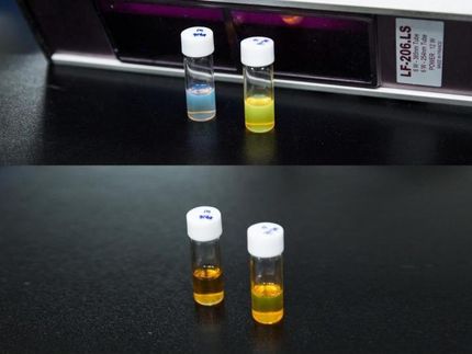 Engineering transformer-like carbon nanostructure