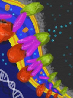E. coli bacteria's defense secret revealed