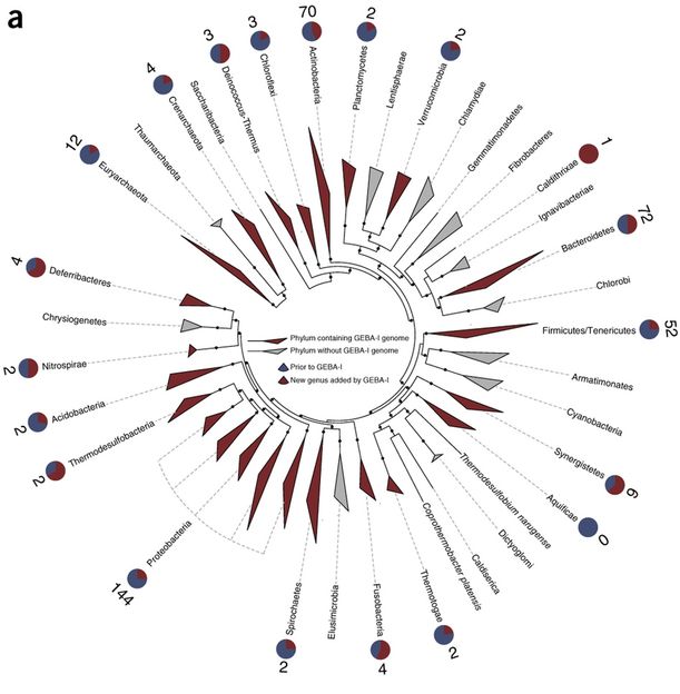 Nature Biotechnology
