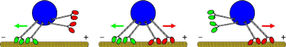 transportmechanismen