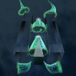 A cellular guillotine for studying single-cell wound repair