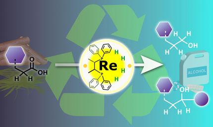 Turning metal catalysis on its head for a sustainable future