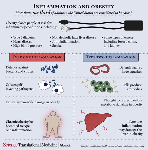 Credit: Carla Schaffer / K.M. Hart et al. / AAAS