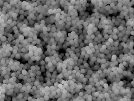 Maßgeschneiderte Nanopartikel gegen Krebs gesucht