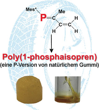 Phosphorus Rubber - Poly-(1-phospha-isoprene): phosphorus-containing natural rubber analogue