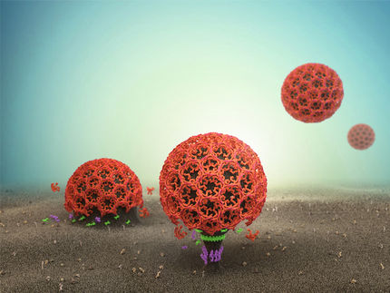 Hin zu neuen antiviralen Wirkstoffen und Antibiotika