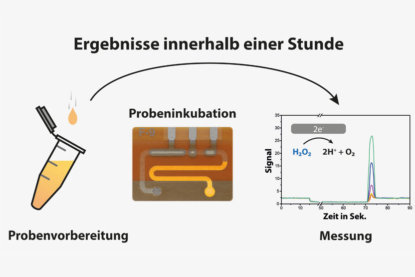 IMTEK – Professur für Sensoren