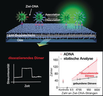 Aufschlussreiche Partikeltrennungen