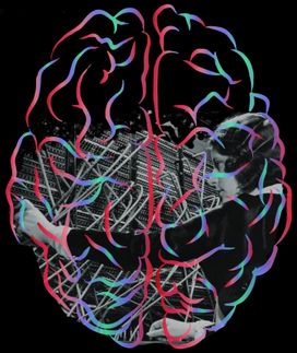 Brains are more plastic than we thought